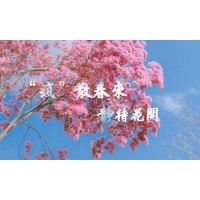 疫散終有時，春暖花自開-科明致敬每一個認真防疫的東莞人